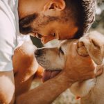 Hôtel à Bordeaux - Pet friendly