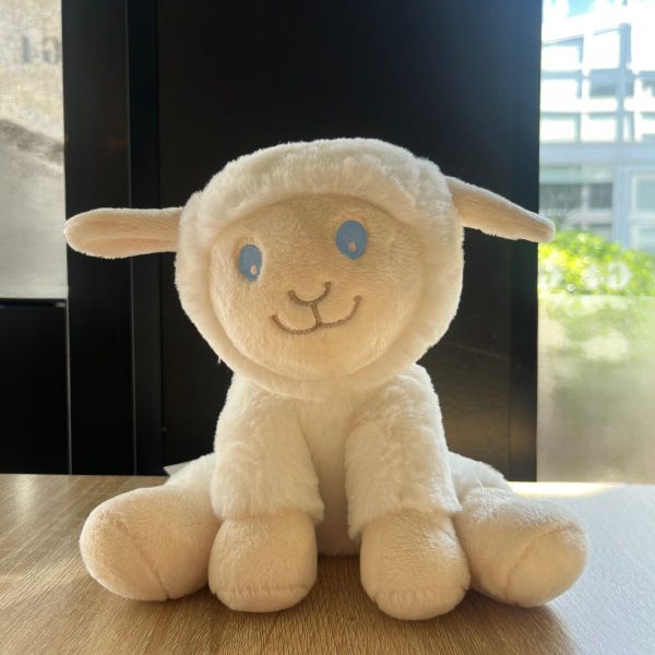 Peluche Badaboum !