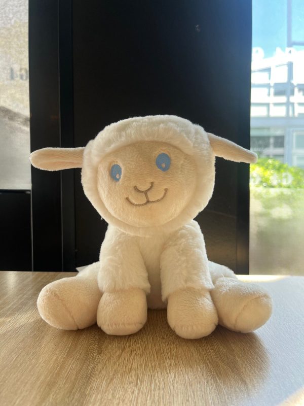 Peluche Badaboum !