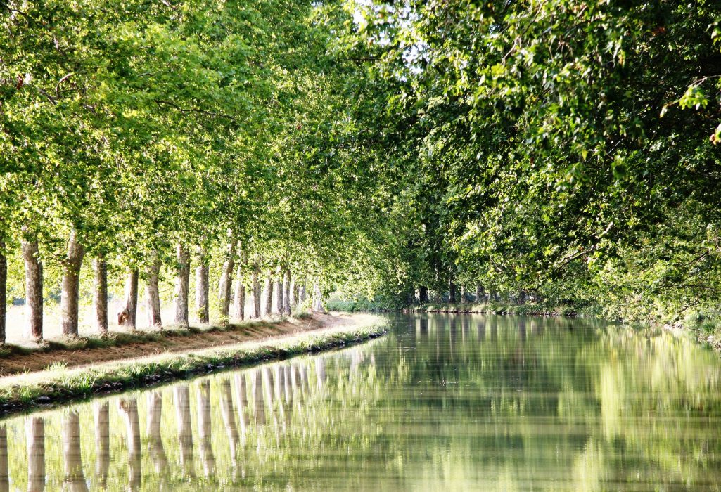 canal du midi